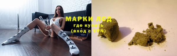 дживик Баксан