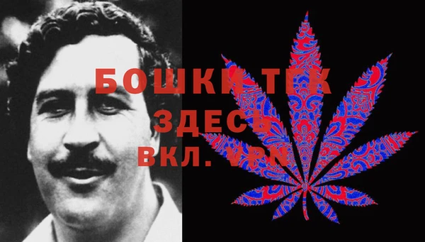 дживик Баксан