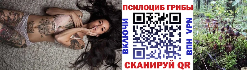 Галлюциногенные грибы прущие грибы  что такое наркотик  Заринск 